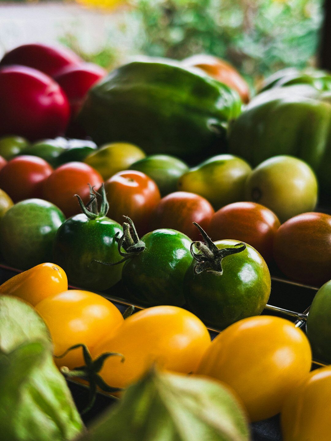Autumn harvest ingredients on a wooden table